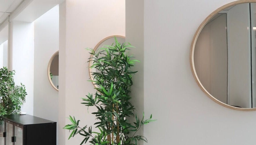 Tranquil beauty corner at Cosmetic Nurse Carly, Helensvale, Queensland, AU featuring decor plants and mirrors.