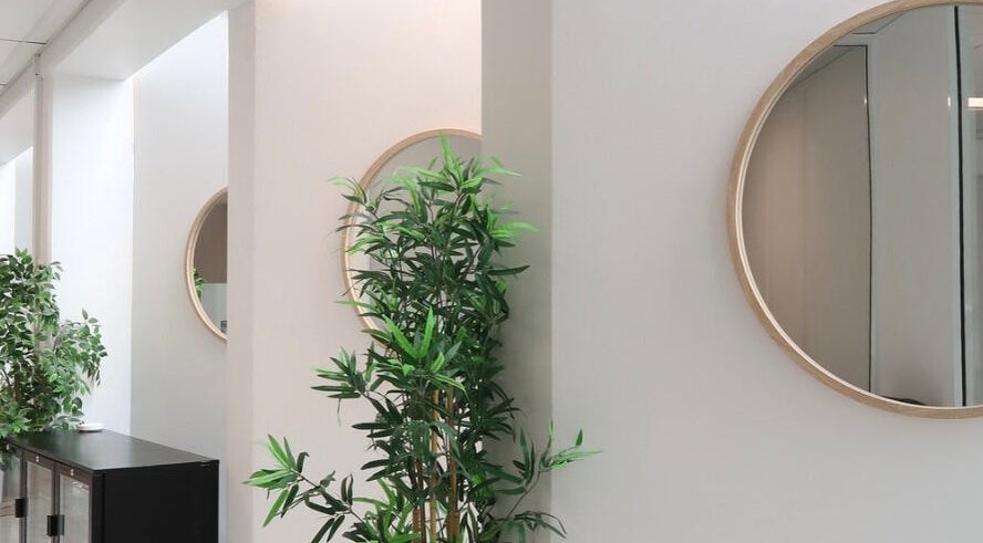 Tranquil beauty corner at Cosmetic Nurse Carly, Helensvale, Queensland, AU featuring decor plants and mirrors.