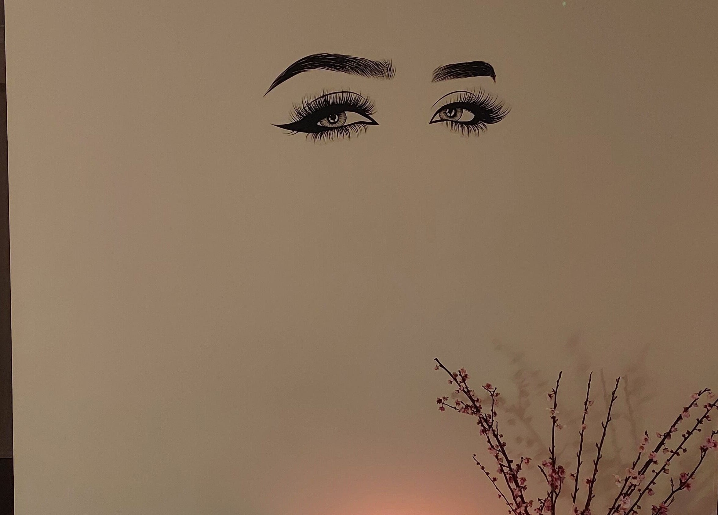 Sophisticated eyebrow art at The Brow and Lash Lounge by Patricia, Doonside, New South Wales, AU.