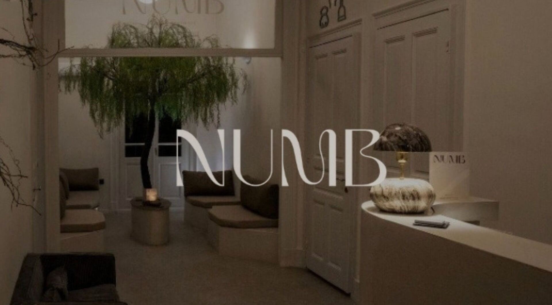 Υποδοχή στο Numb, Θεσσαλονίκη, Θεσσαλονίκη, GR. Πολυτελής είσοδος με δένδρο και καθιστικό.