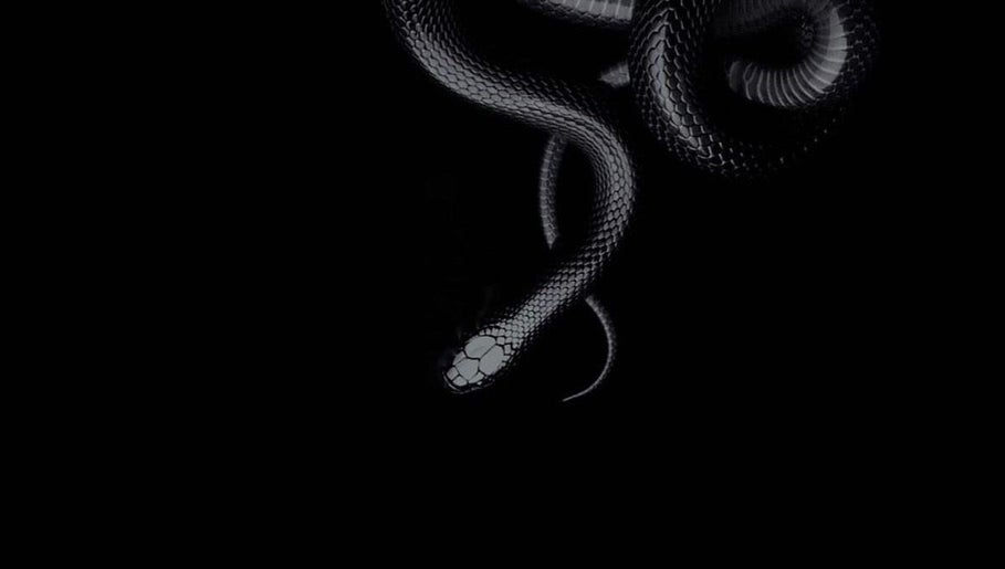 Stylish black snake symbolizing Medusa’s Mantra in Greenbank, Queensland, AU. Elegance in nature.