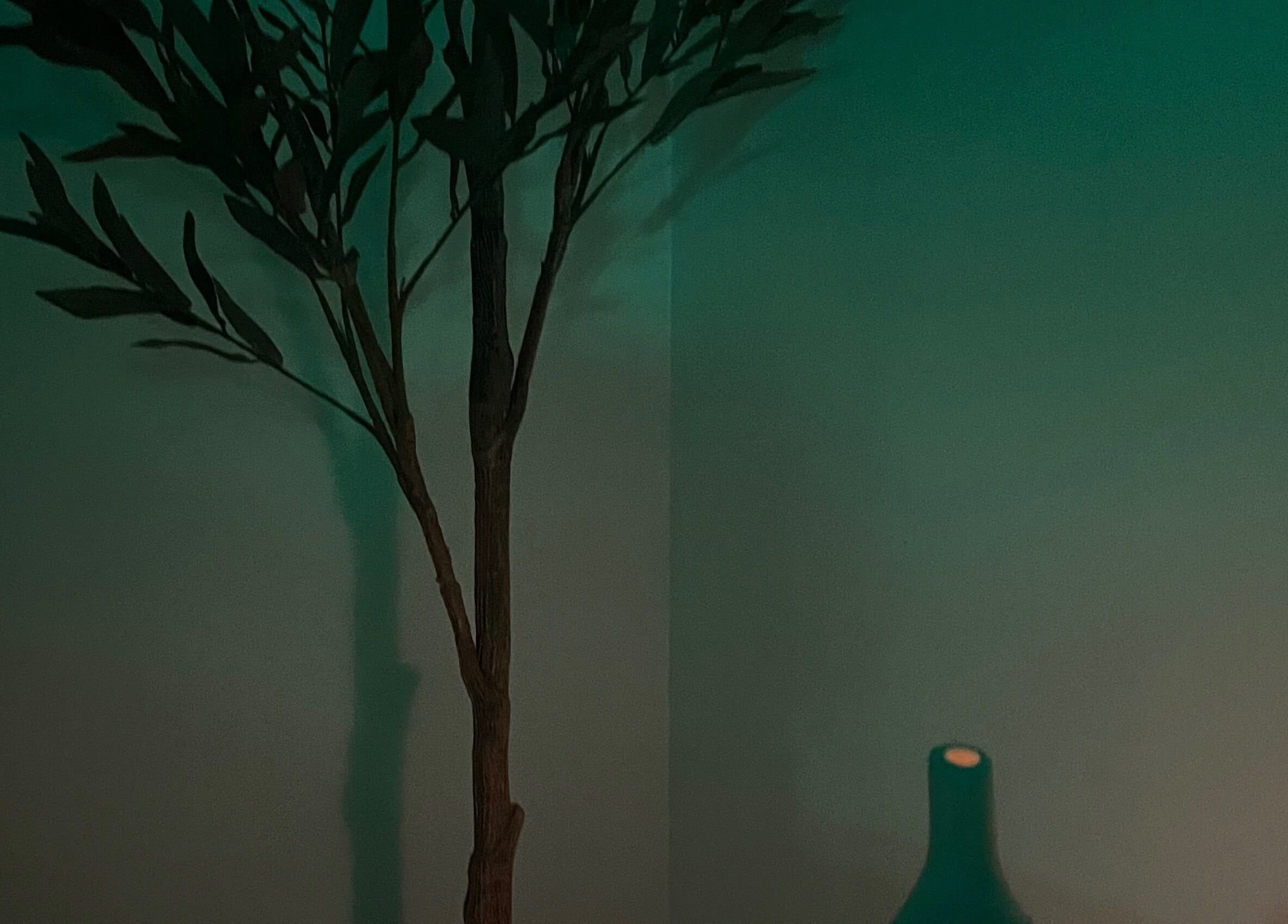 Calm corner with plant and vase at Illuminate Aesthetics Lounge, Toronto, Ontario, CA.