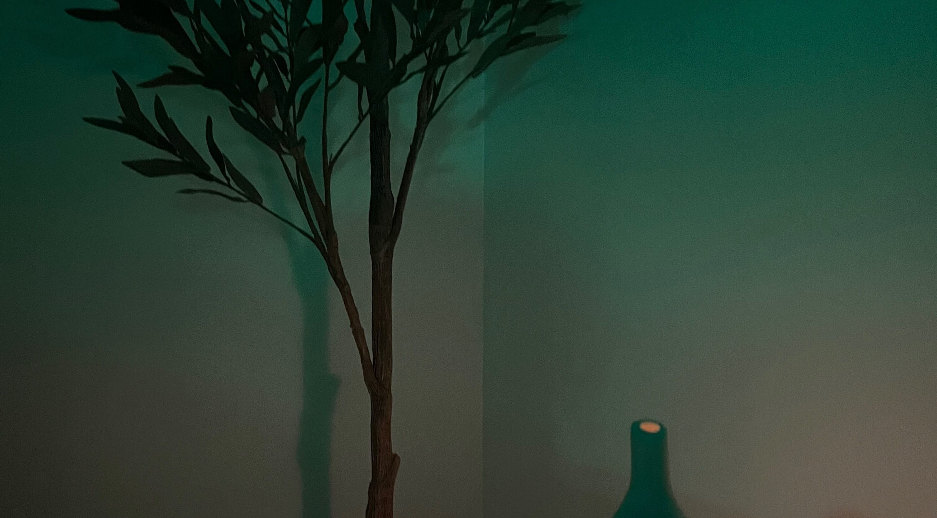 Calm corner with plant and vase at Illuminate Aesthetics Lounge, Toronto, Ontario, CA.