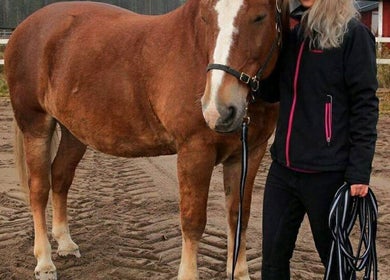 Mira Helena Nieminen - Eläinfysioterapia tarjoaa hevosterapiaa Vantaalla, Uusimaalla, FI.