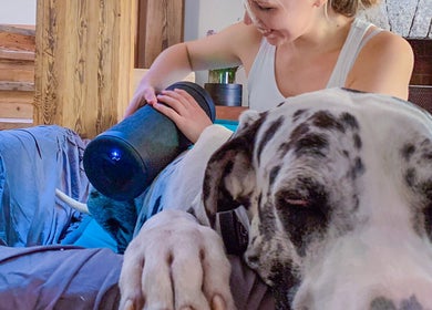 Mira Helena Nieminen - Eläinfysioterapia hoitaa koiraa Vantaalla, Uusimaa, FI.