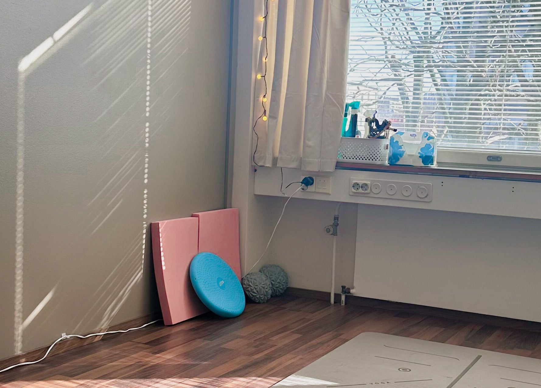 Rauhallinen harjoitustila Eläinfysioterapia Mira Helena - Kotikäynnit PK-seudulla ja Turun alueella, Vantaa, Uusimaa, FI.