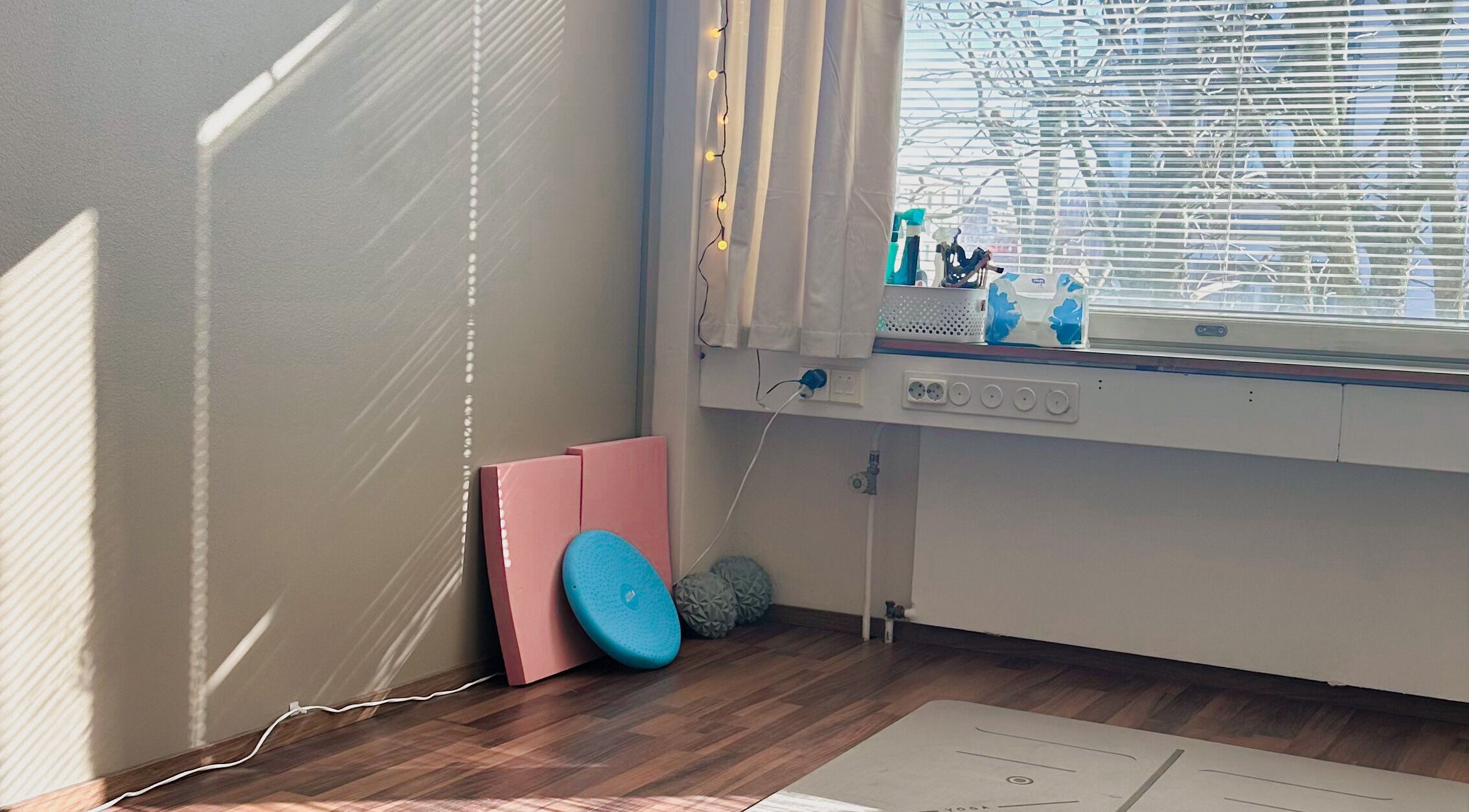 Rauhallinen harjoitustila Eläinfysioterapia Mira Helena - Kotikäynnit PK-seudulla ja Turun alueella, Vantaa, Uusimaa, FI.