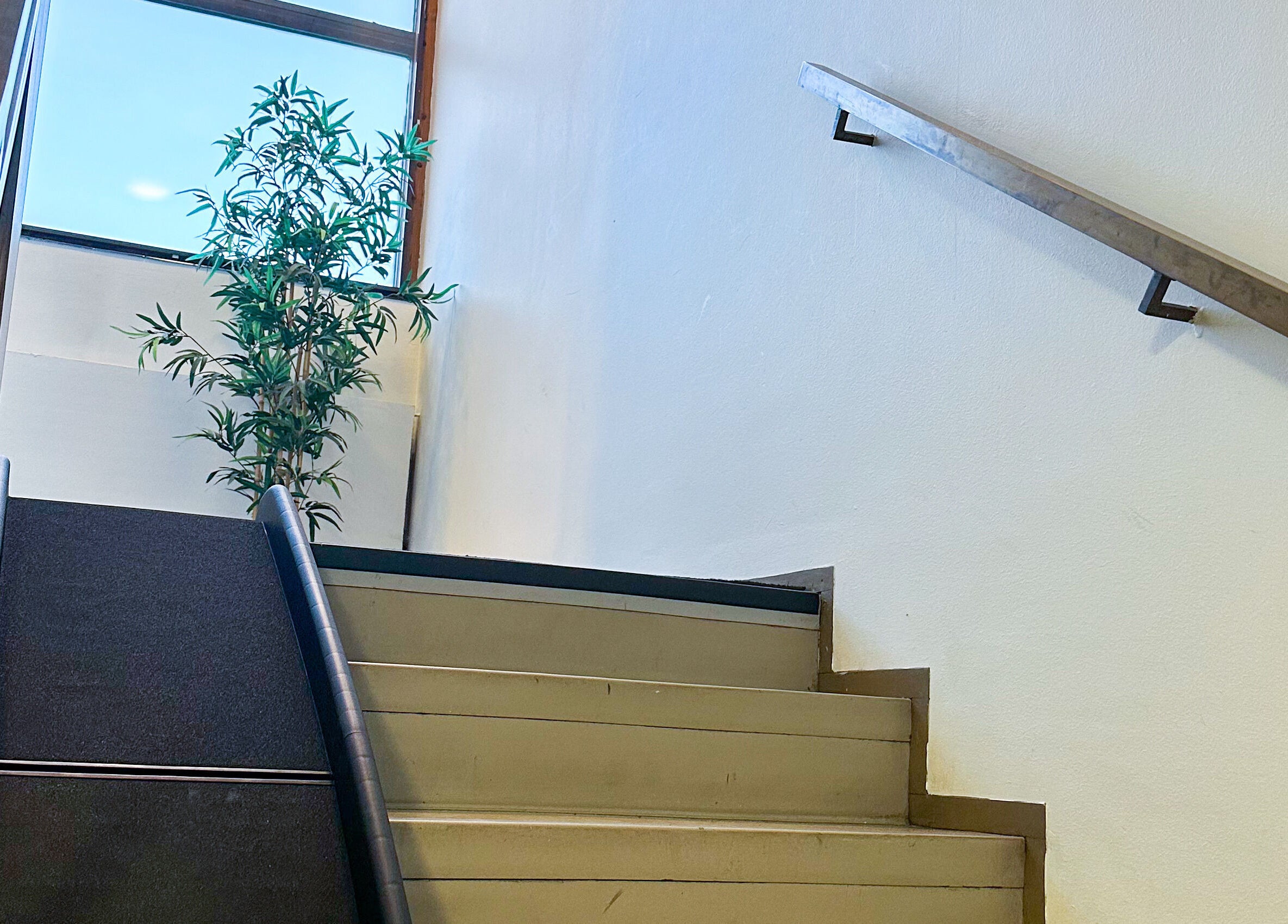 Eläinfysioterapia Mira Helena - Kotikäynnit PK-seudulla ja Turun alueella portaikko Vantaa, Uusimaa, FI.