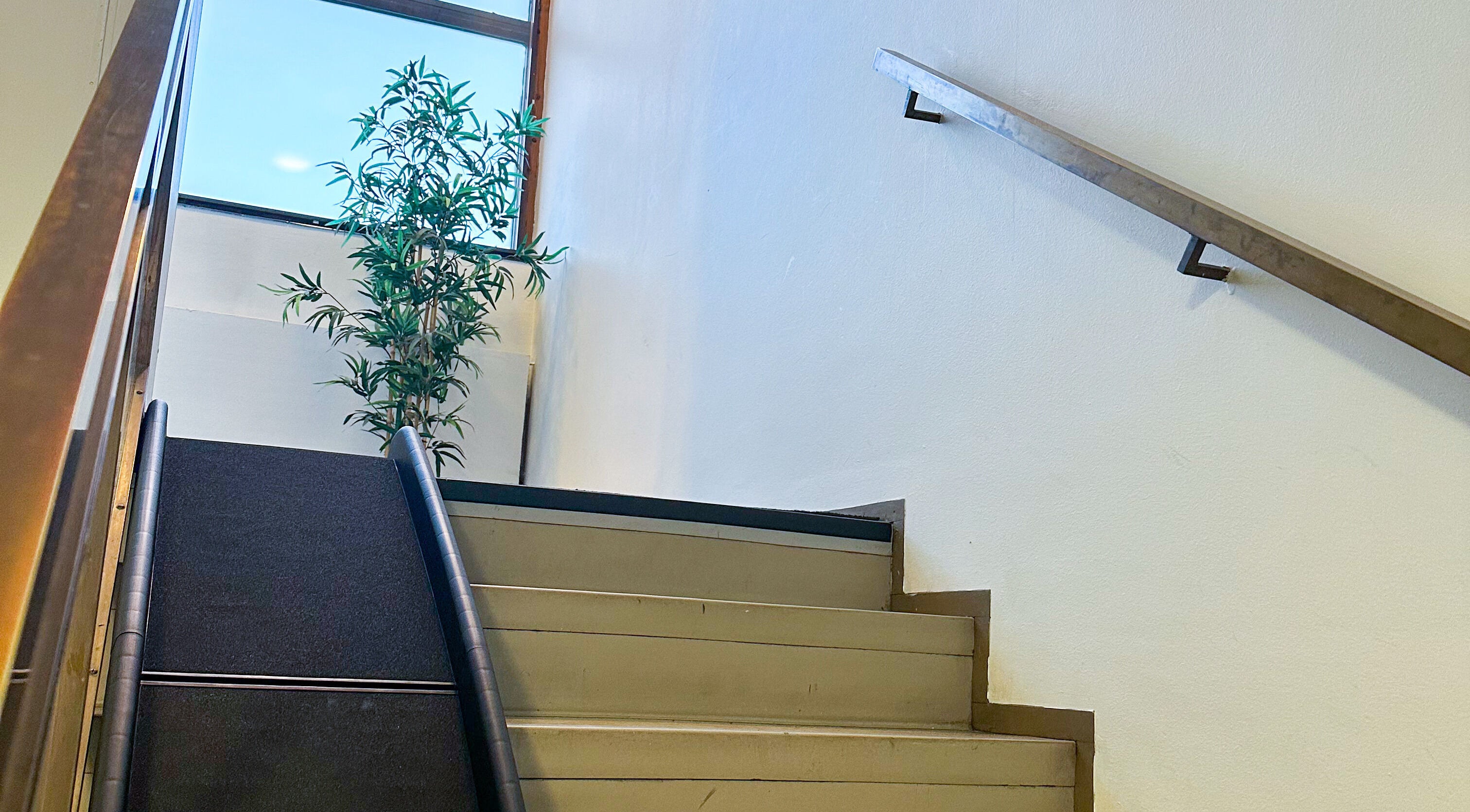 Eläinfysioterapia Mira Helena - Kotikäynnit PK-seudulla ja Turun alueella portaikko Vantaa, Uusimaa, FI.