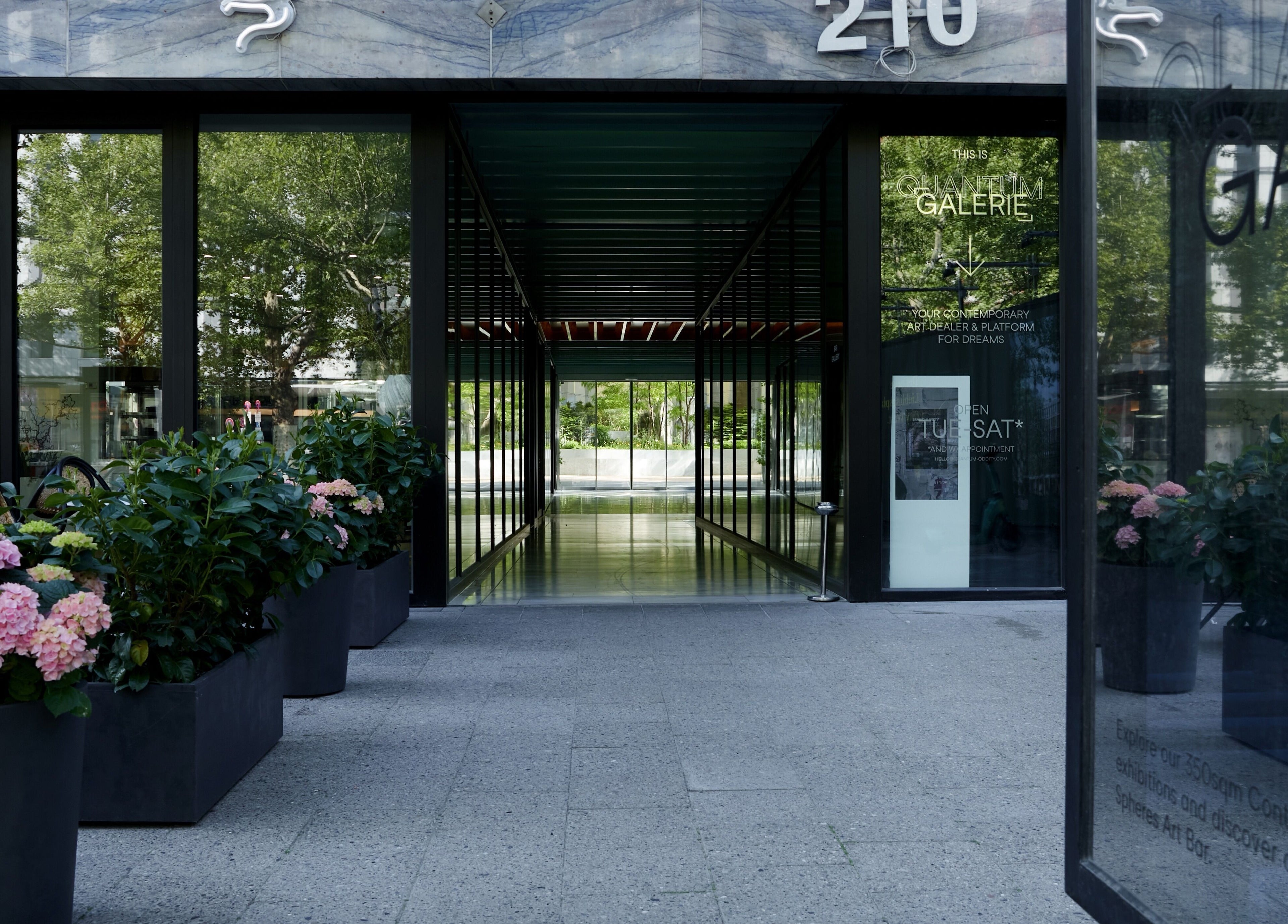 Eingang von Pascal Conrad Hair in Berlin, Berlin, DE mit üppigen Pflanzen und ruhigem Ambiente.