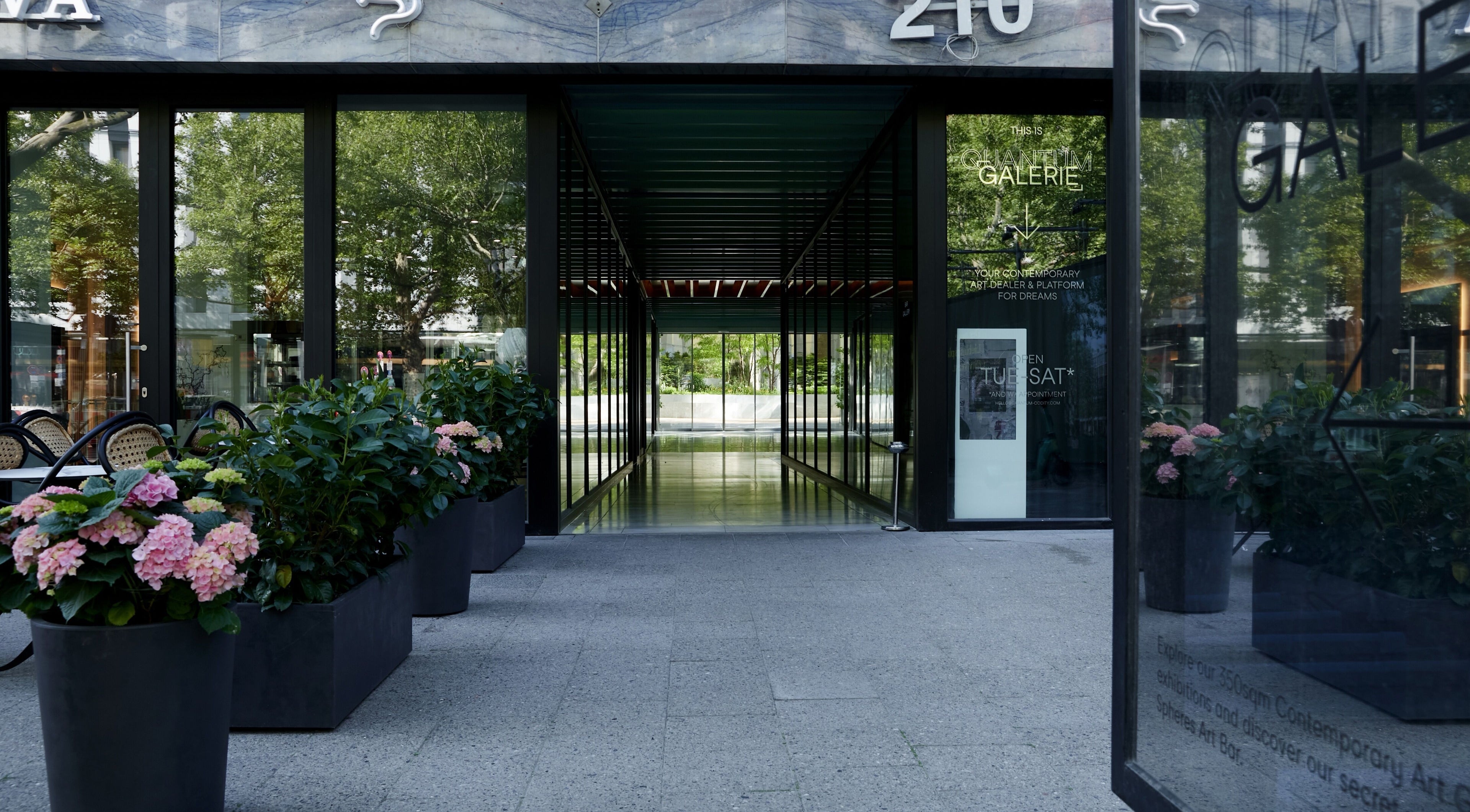 Eingang von Pascal Conrad Hair in Berlin, Berlin, DE mit üppigen Pflanzen und ruhigem Ambiente.