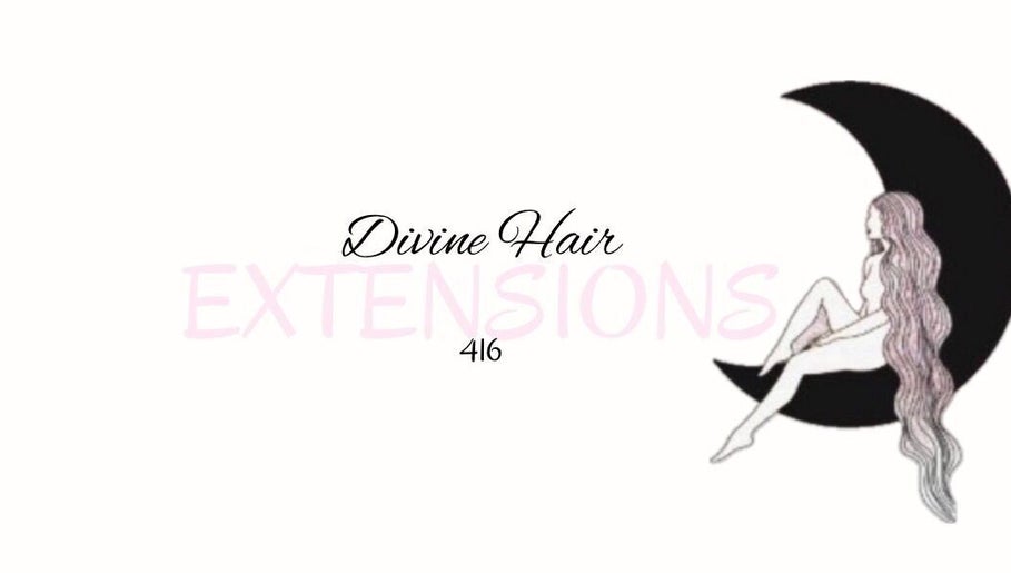 Divine hair extensions 416 image 1