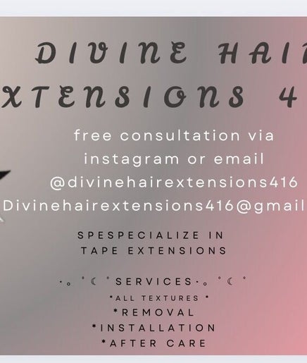 Divine hair extensions 416 image 2