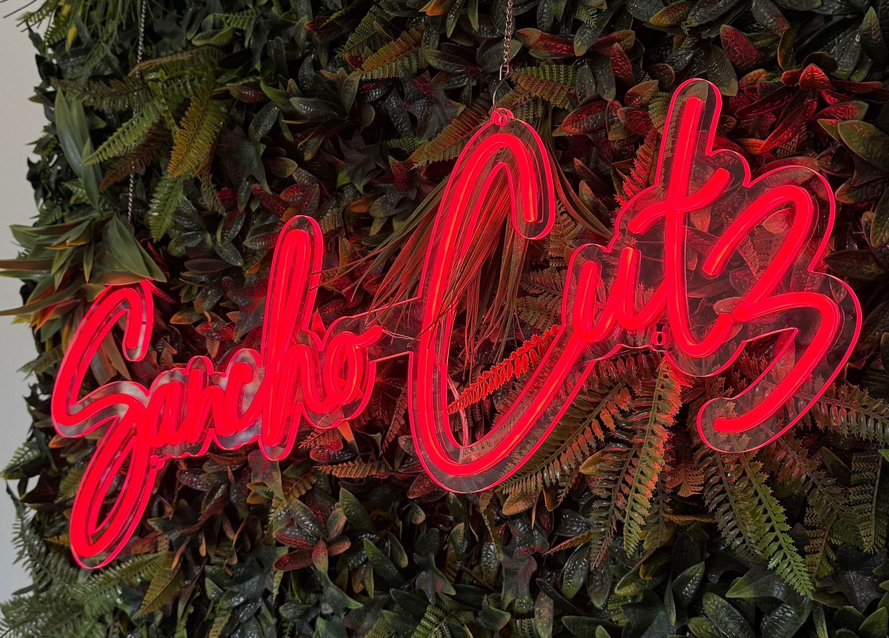 Enseigne néon de Sancho Cutz sur mur végétal à Cessieu, Auvergne-rhône-alpes, FR.