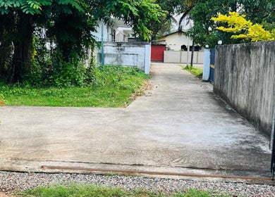 Entrance to Salon Udani in Wattala, Western Province, LK, framed by lush greenery and a stone path.