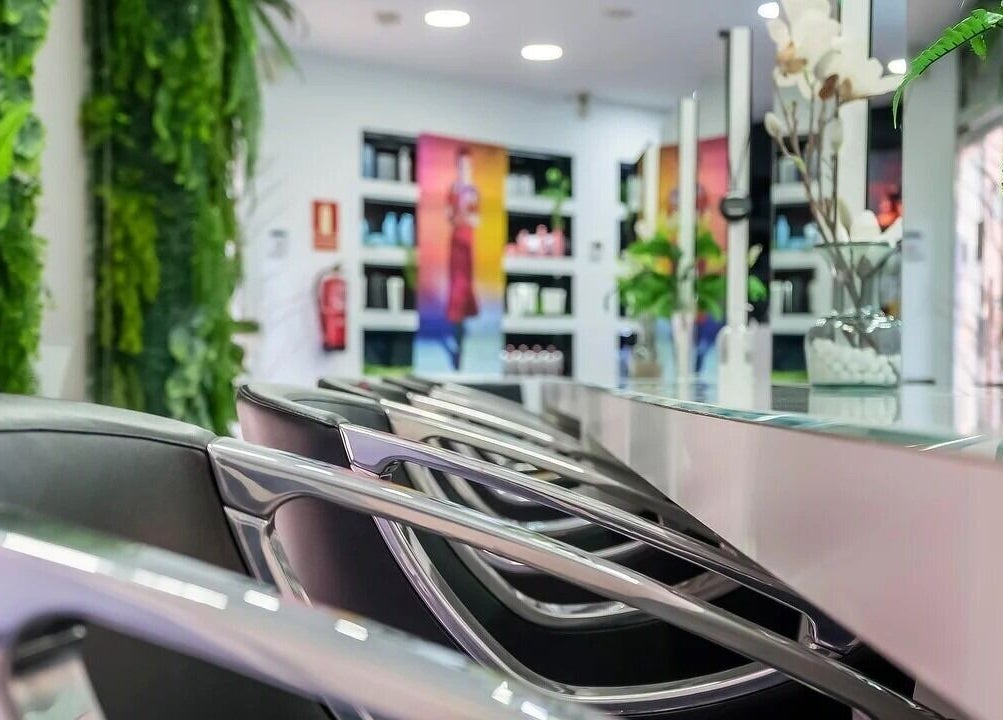 Interior moderno de Lo Más In - El Bercial en Getafe, Comunidad De Madrid, ES con sillas y plantas.