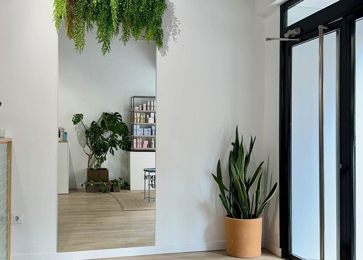 Entrada luminosa de SALON 224 con plantas y espejo en Albacete, Castilla-la Mancha, ES.