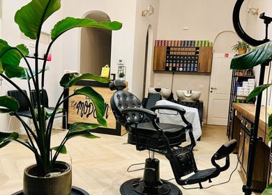 Moderne kappersstoel en groene planten bij Dakhil Kapper in Turnhout, Vlaams Gewest, BE.