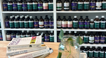 Insync Holistic Health (Telehealth) image 3