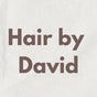 Hair By David