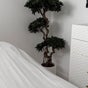 Clinic 103 -  103 Luton Road, Harpenden, England