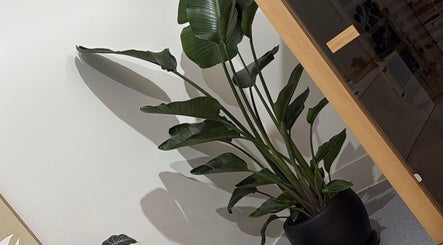 Lush plant decor at Body Therapy Studio in Melbourne, Victoria, AU, enhancing a serene wellness environment.