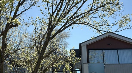 Body Therapy Studio in Melbourne, Victoria, AU, with blooming trees against a clear blue sky.