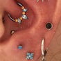 Posh Holes Body Piercing