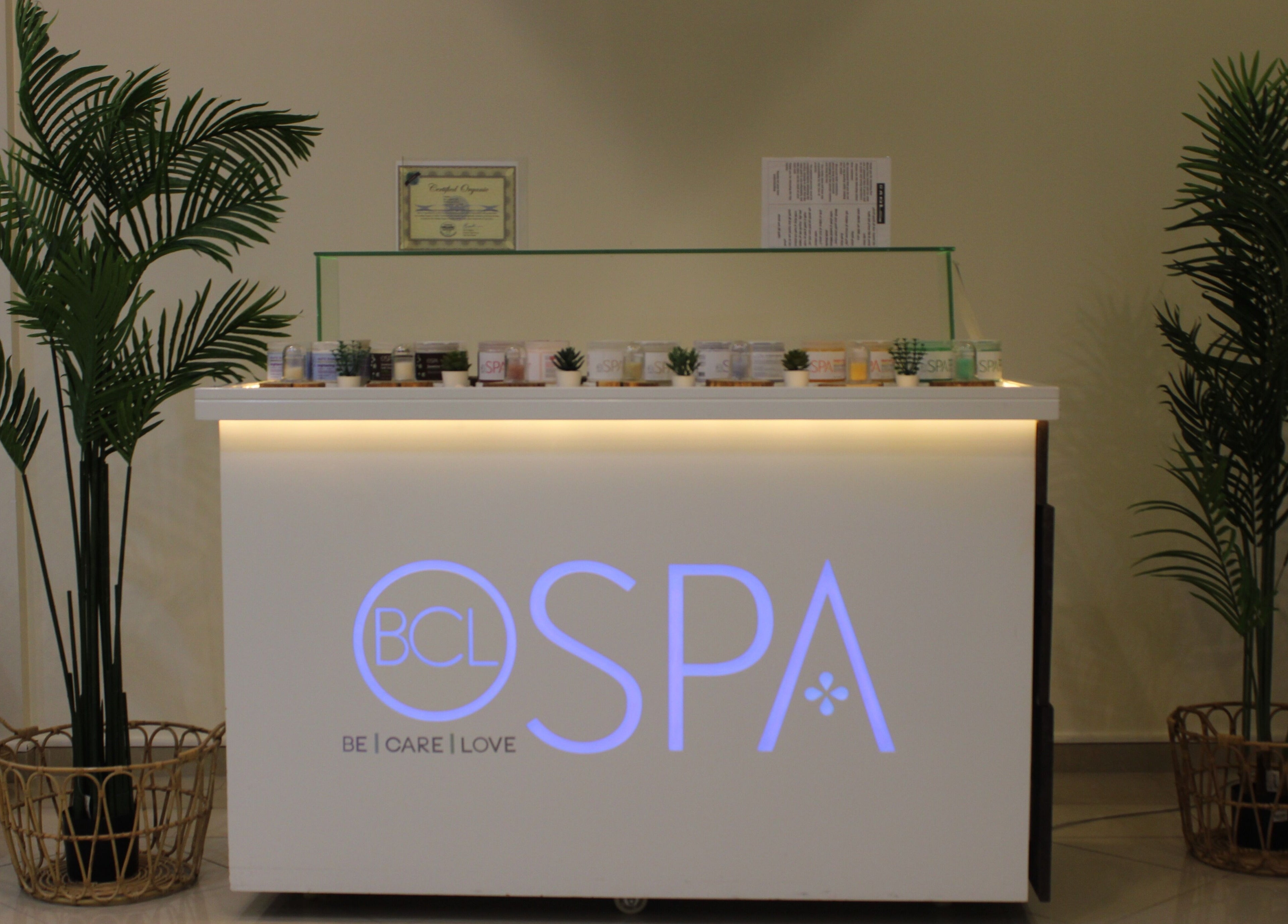 Stylish spa reception at Can Beauty Salon | Hayel, featuring modern decor and calming plants in Hayel, Hayel, SA.