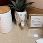 Zen Den - 800 Werner Court, Suite 200, Casper, Wyoming