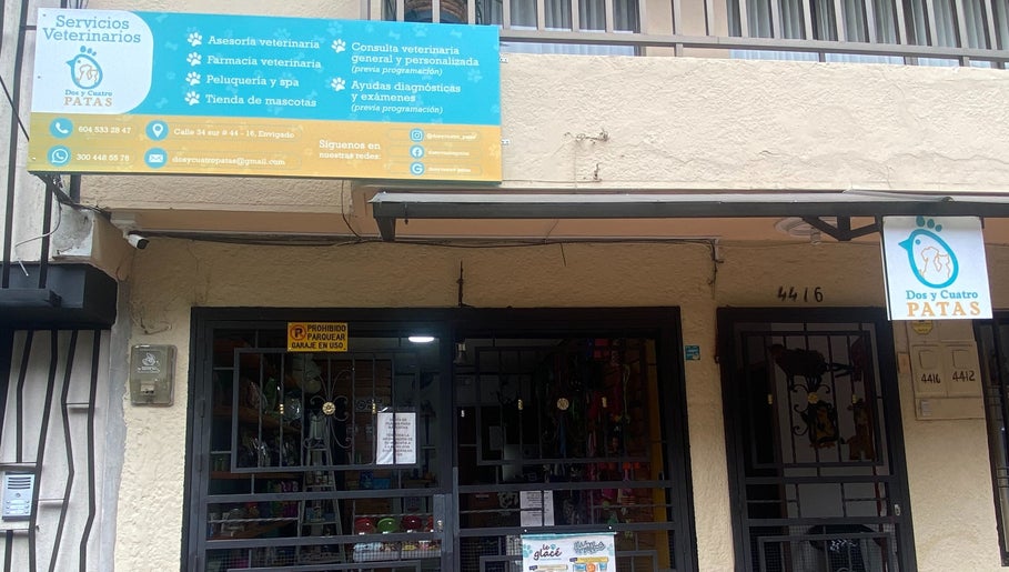 DosyCuatro Patas image 1