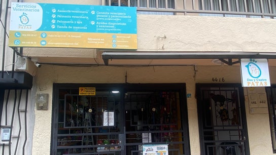 DosyCuatro Patas