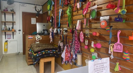 DosyCuatro Patas image 3