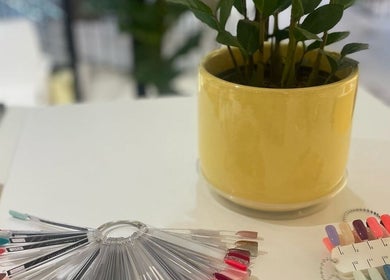 Nail polish samples and a plant at Pomegranate, Cape Town, Western Cape, ZA, offering a calm atmosphere.