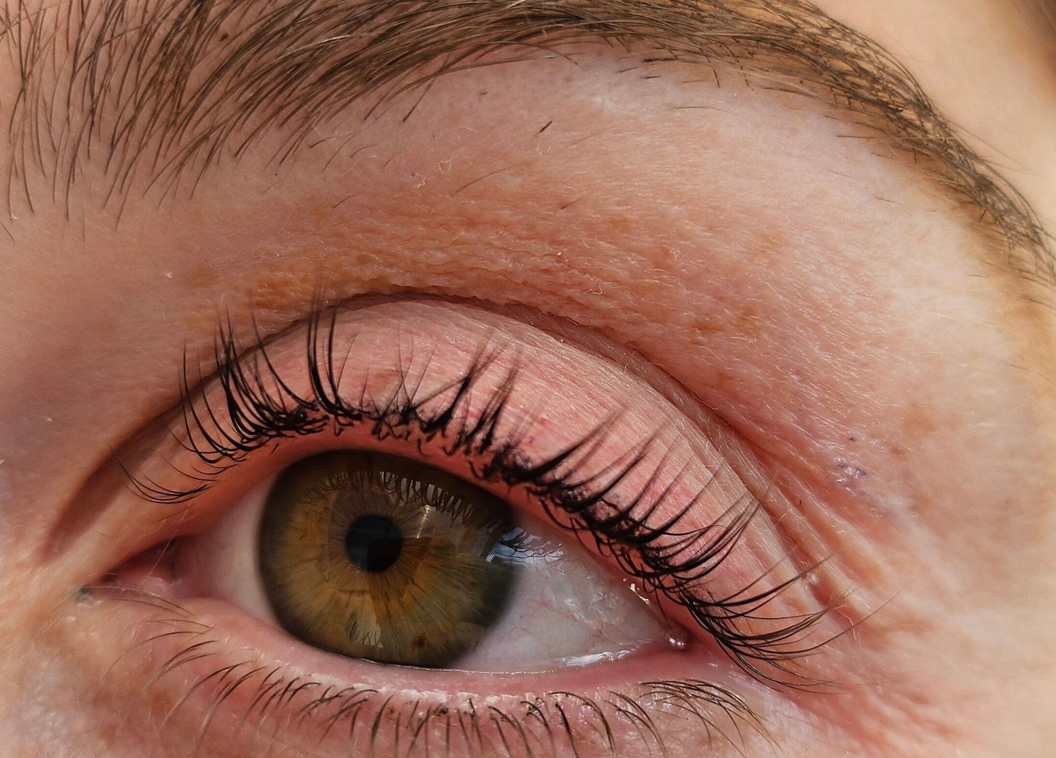 Close-up of a styled eyebrow and lashes at Brow Wow and Scalp Ethic, Kirkcaldy, Scotland, GB.