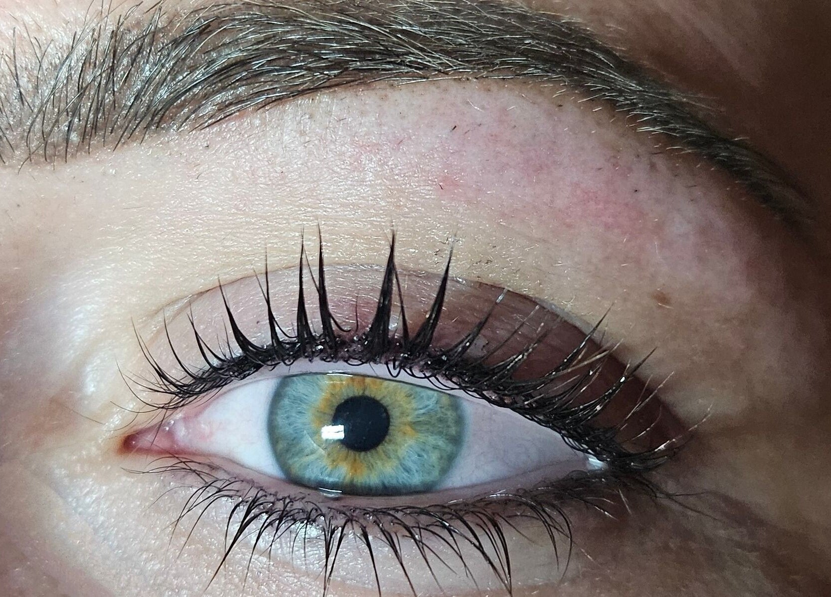 Close-up of styled lashes and groomed brow at Brow Wow and Scalp Ethic in Kirkcaldy, Scotland, GB.