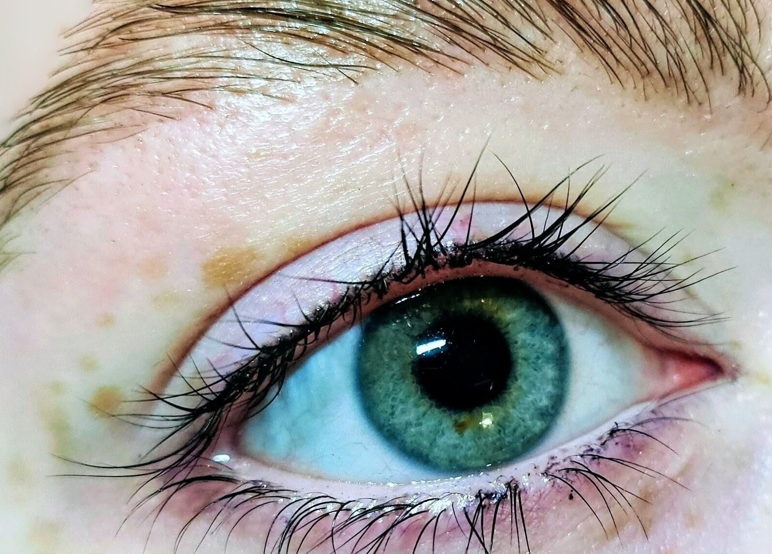 Close-up of a perfectly groomed eyebrow at Brow Wow and Scalp Ethic, Kirkcaldy, Scotland, GB.