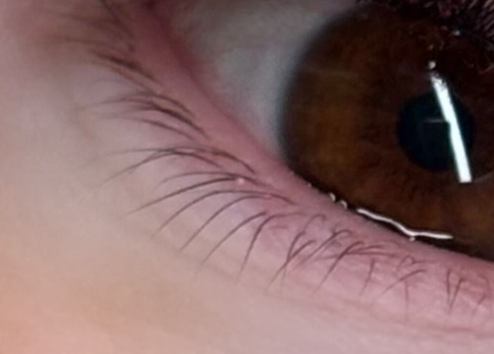 Gros plan artistique d'un œil à LABOTÉE, L'étang-salé, Saint-pierre, RE, montrant la beauté naturelle.