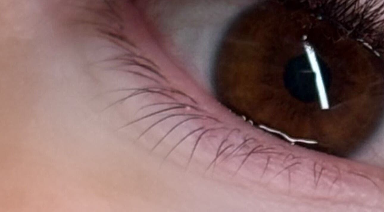 Gros plan artistique d'un œil à LABOTÉE, L'étang-salé, Saint-pierre, RE, montrant la beauté naturelle.