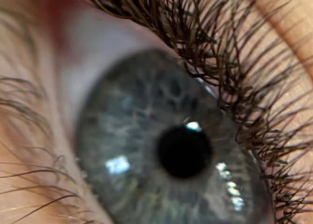 Zoom sur un œil captivant chez LABOTÉE, L'étang-salé, Saint-pierre, RE, refletant la beauté naturelle.