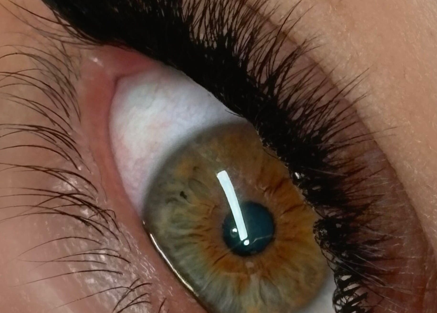 Gros plan sur des cils volumineux à LABOTÉE, L'étang-salé, Saint-pierre, RE.