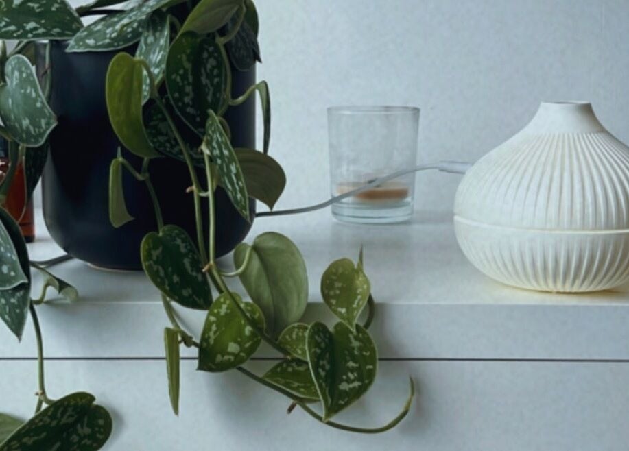 Ambiente tranquilo com planta e difusor em B.EE Beauty & Wellness, Estarreja, Aveiro, PT.