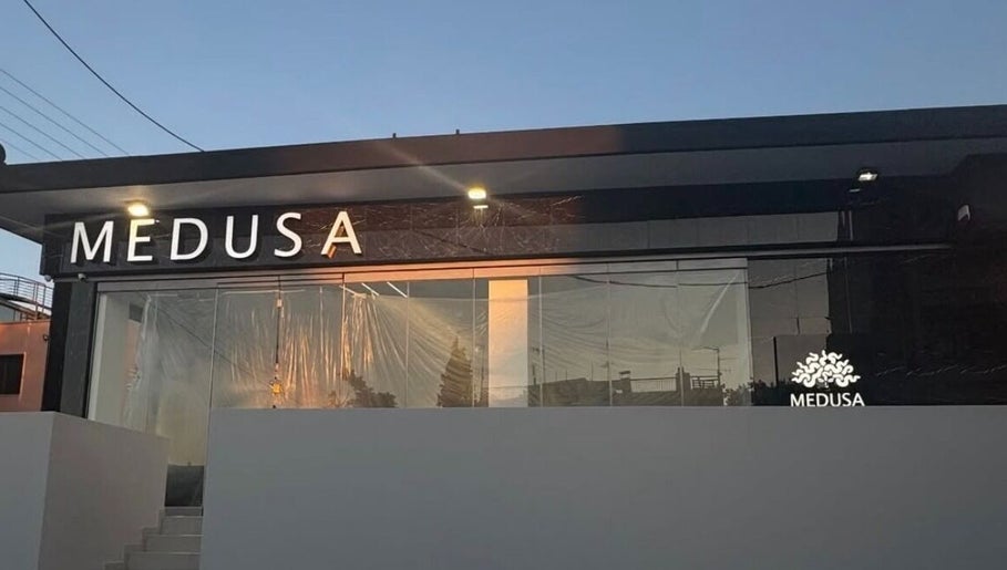 Medusa Pilaia imagem 1