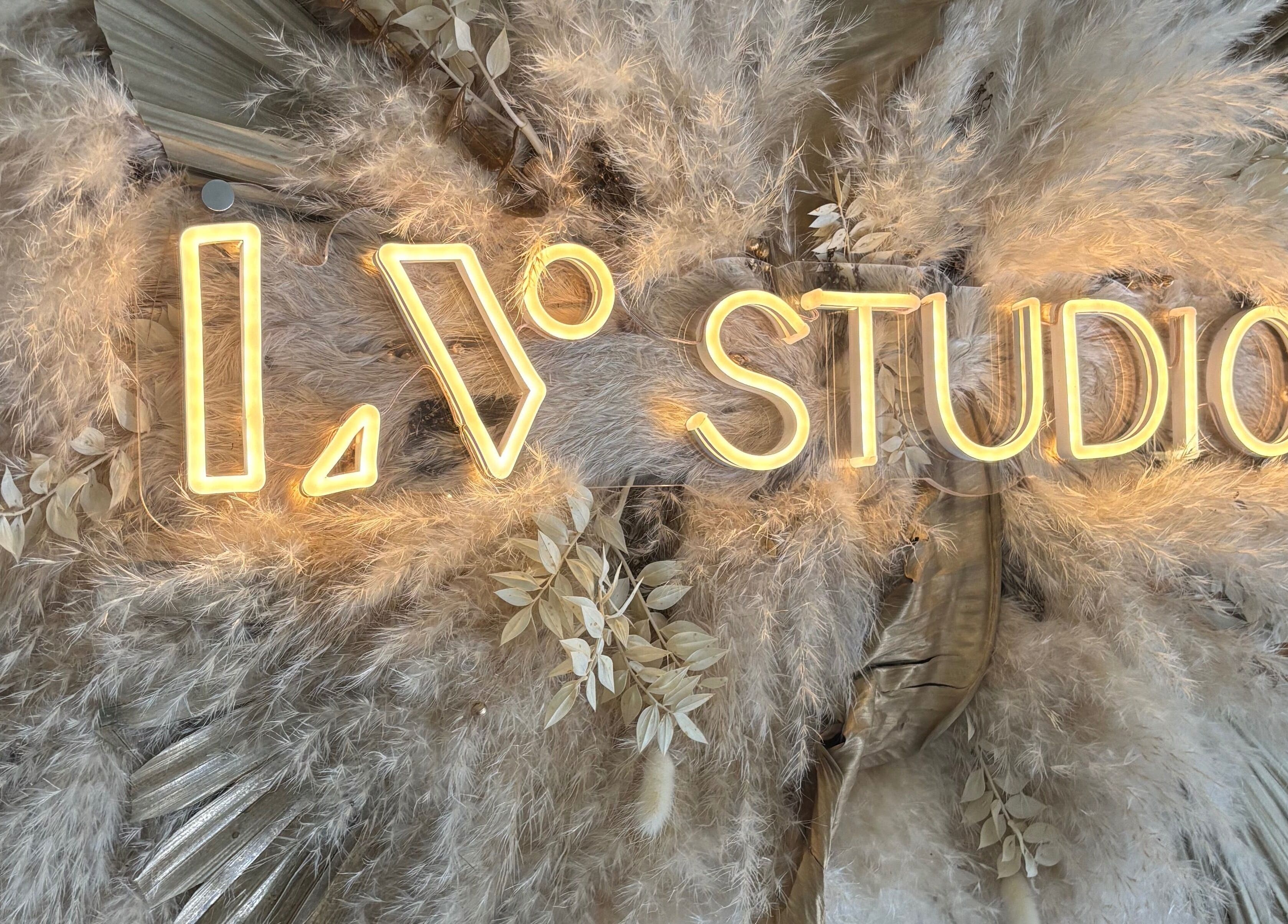 Neonbord met 'LV Studio' omringd door pluimen, gelegen in Willemstad, CW.