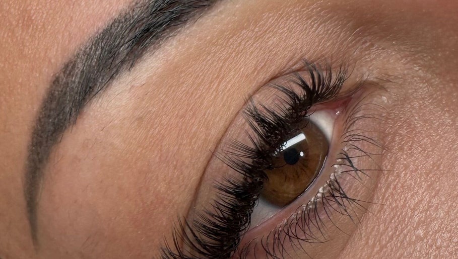 Platinumlashlab image 1