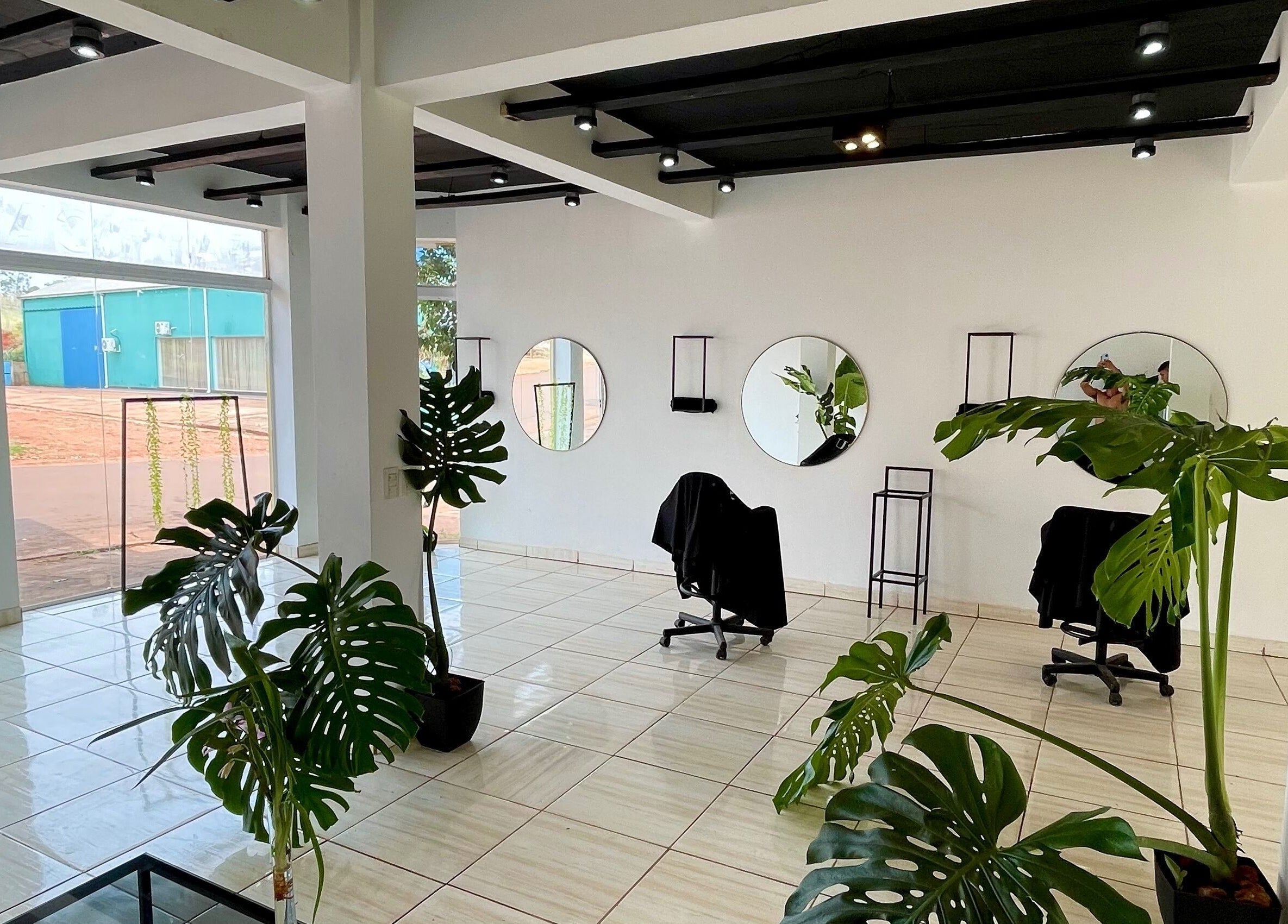 Interior moderno de Jungle Instinct JS, Misiones, Misiones, AR, con espejos redondos y plantas verdes.