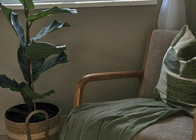 Cozy chair and leafy plant in Sj Studio, Durban, Kwazulu-natal, ZA, offering serene relaxation space.
