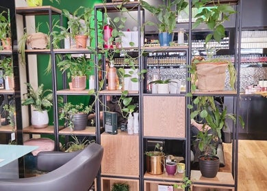 Lush plants in modern Care Salon lounge, London, England, GB. A serene, stylish beauty venue corner.