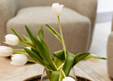 White tulips in a vase at The Dermal Collection, Cape Town, Western Cape, ZA.