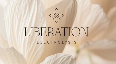 Liberation Electrolysis image 3